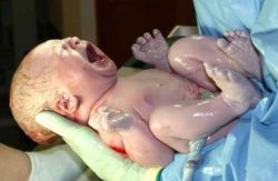 newborn baby