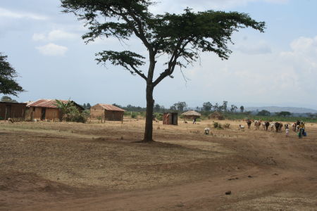 Kabarak