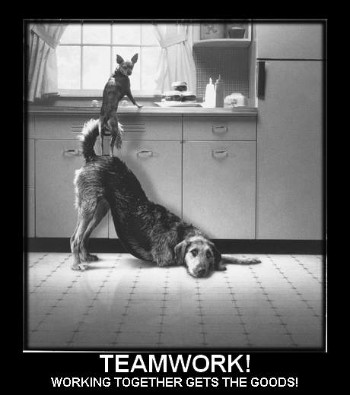 teamwork - working together