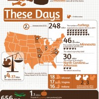 thanksgiving infographic
