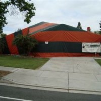 termite-tented-house