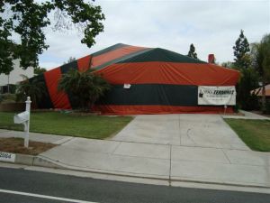 termite-tented-house