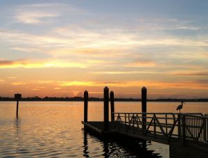 safety harbor, florida sunrise